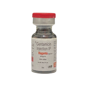 Gentamicin Sulphate 40mg | Brand - Regenta | Manufacturer - Regain Laboratories | Pack of 2 ml inj